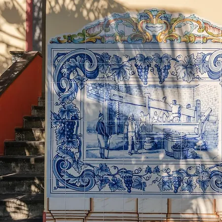 לינה וארוחת בוקר Casa Videiras סיישאו