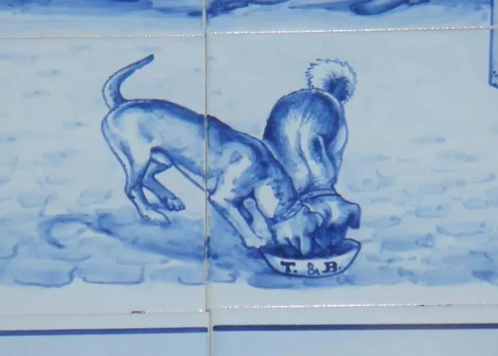 Casa Videiras Bed & Breakfast 4*